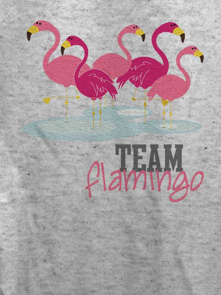team-flamingo-damen-t-shirt grau-meliert 4