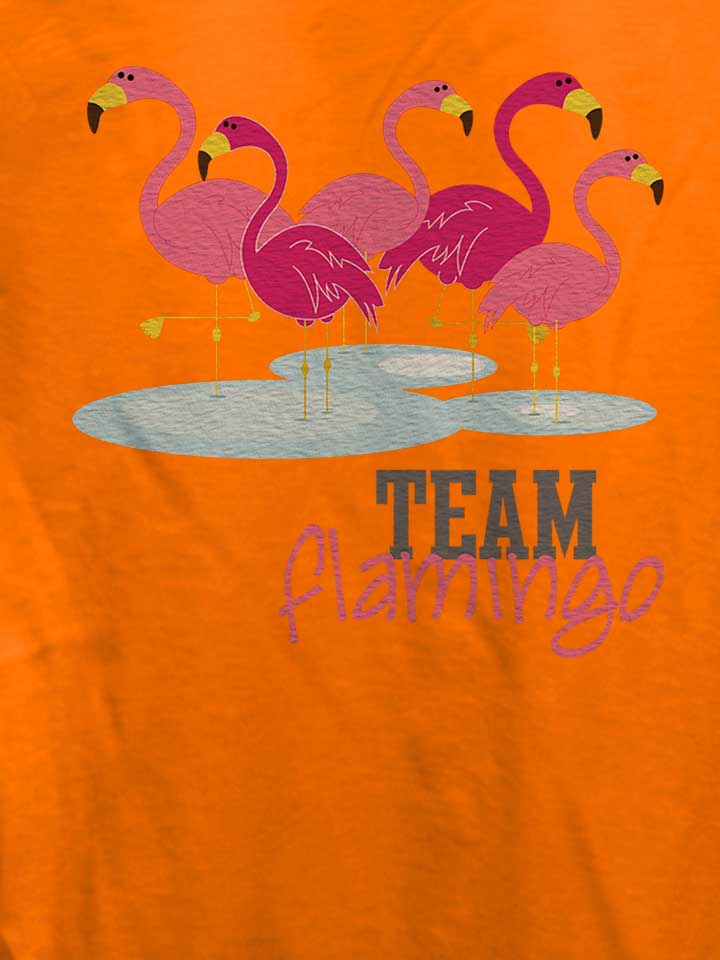 team-flamingo-damen-t-shirt orange 4