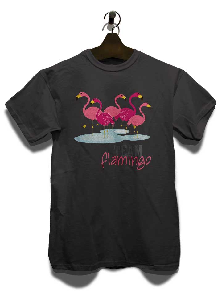 team-flamingo-t-shirt dunkelgrau 3