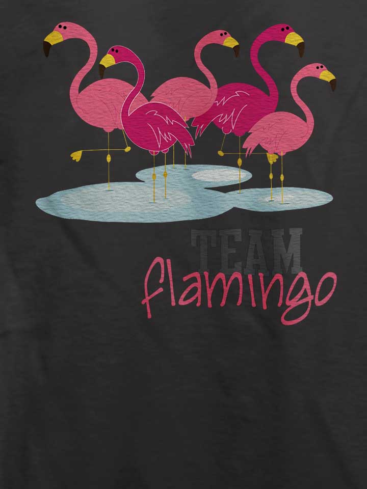 team-flamingo-t-shirt dunkelgrau 4