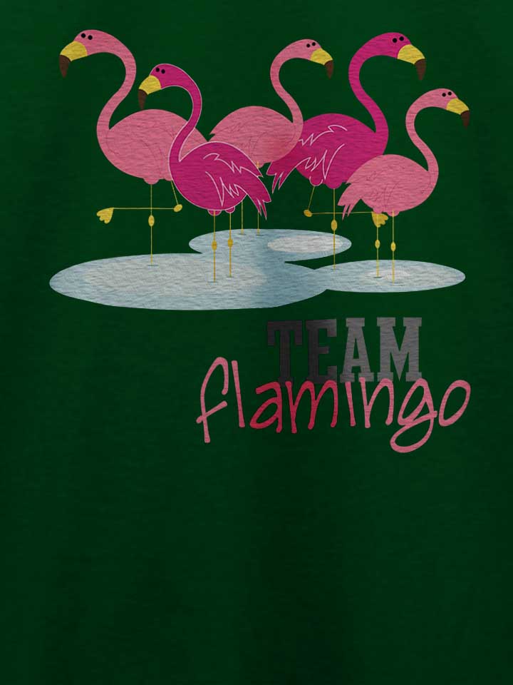 team-flamingo-t-shirt dunkelgruen 4
