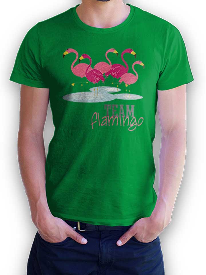 team-flamingo-t-shirt gruen 1