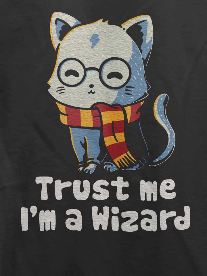 trust-me-i-m-a-wizard-cat-t-shirt dunkelgrau 4