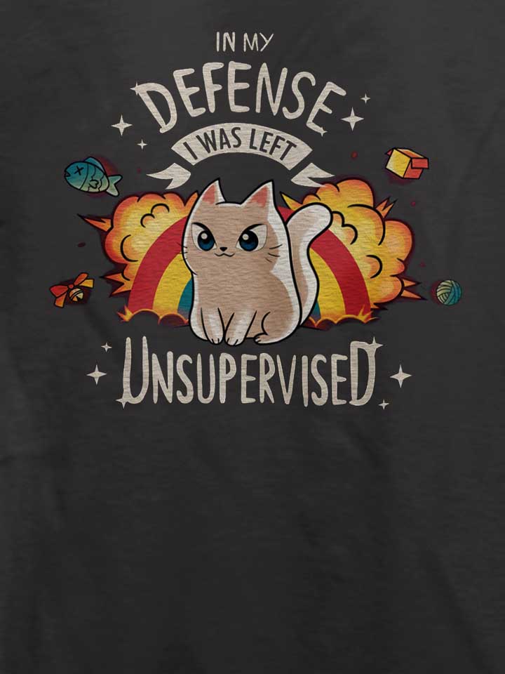 unsupervised-cat-t-shirt dunkelgrau 4