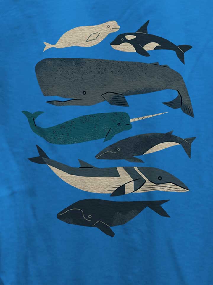 whales-damen-t-shirt royal 4