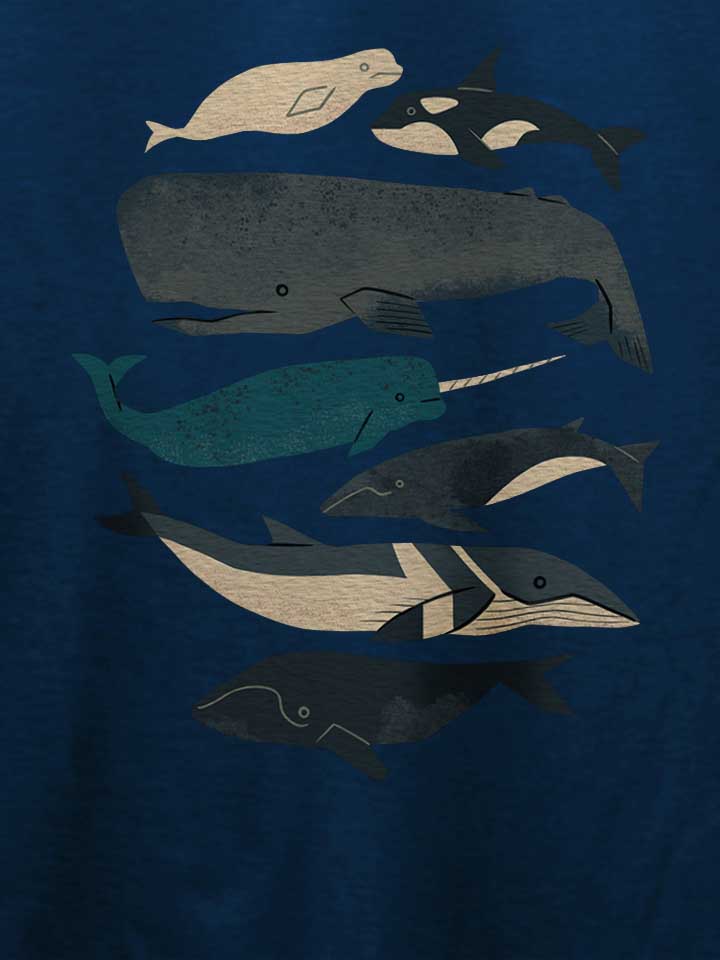 whales-t-shirt dunkelblau 4